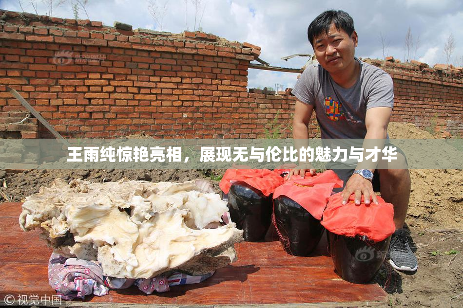 王雨纯惊艳亮相，展现无与伦比的魅力与才华