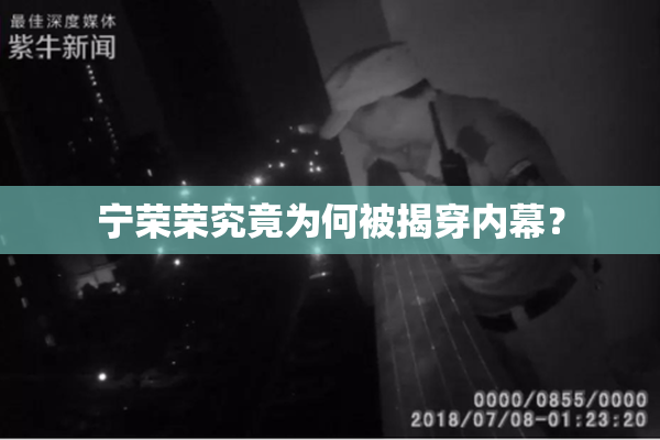 宁荣荣究竟为何被揭穿内幕？