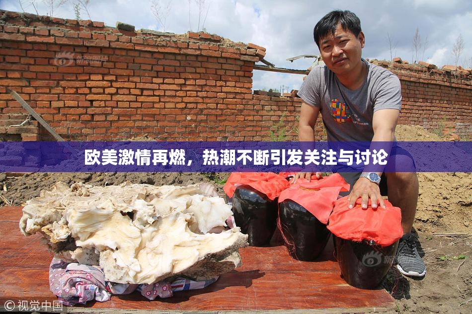 欧美激情再燃，热潮不断引发关注与讨论