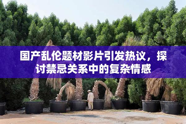 国产乱伦题材影片引发热议，探讨禁忌关系中的复杂情感