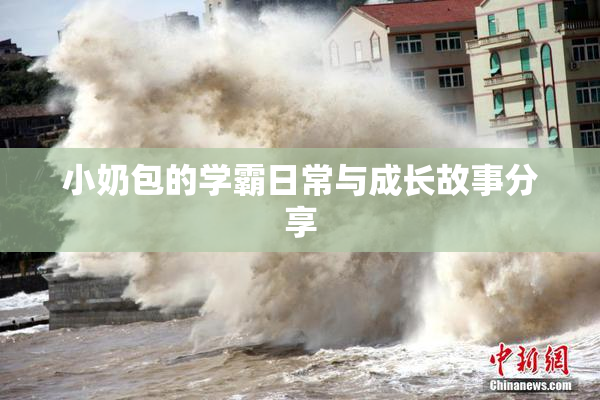 小奶包的学霸日常与成长故事分享