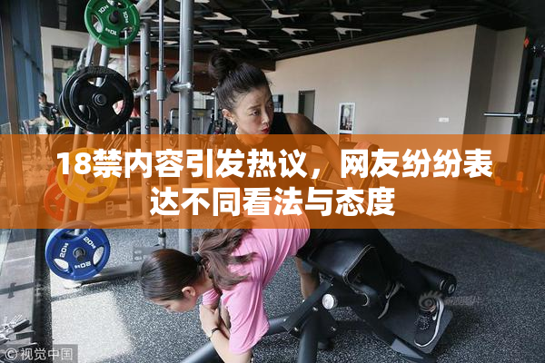 18禁内容引发热议，网友纷纷表达不同看法与态度