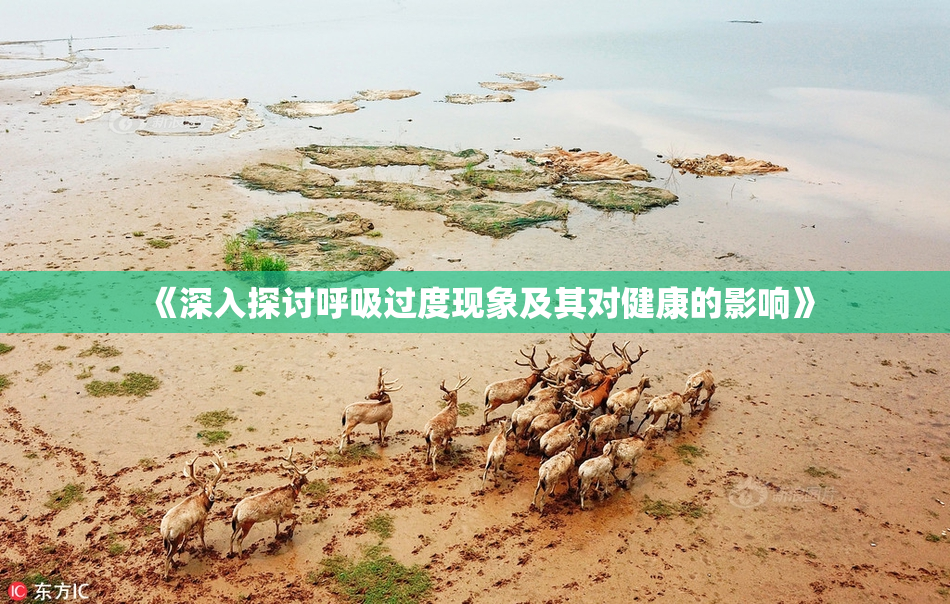 《深入探讨呼吸过度现象及其对健康的影响》