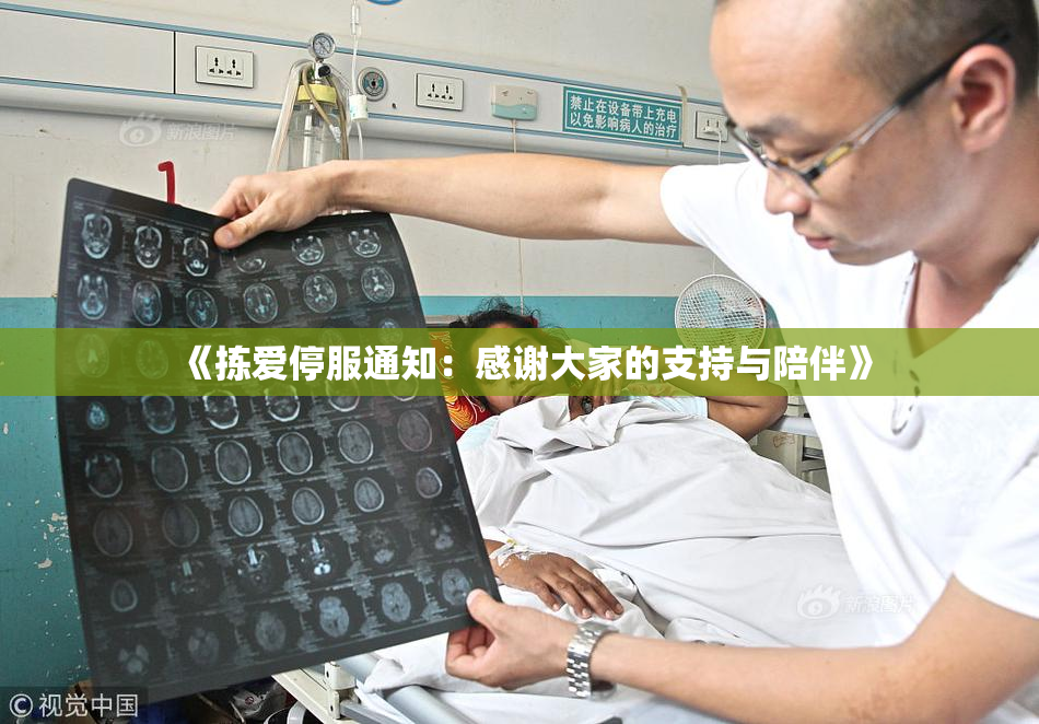 《拣爱停服通知：感谢大家的支持与陪伴》