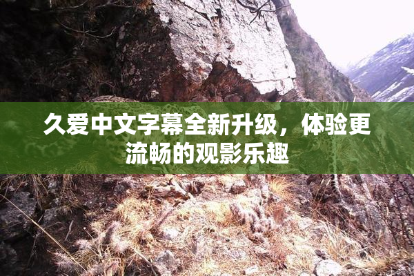 久爱中文字幕全新升级，体验更流畅的观影乐趣