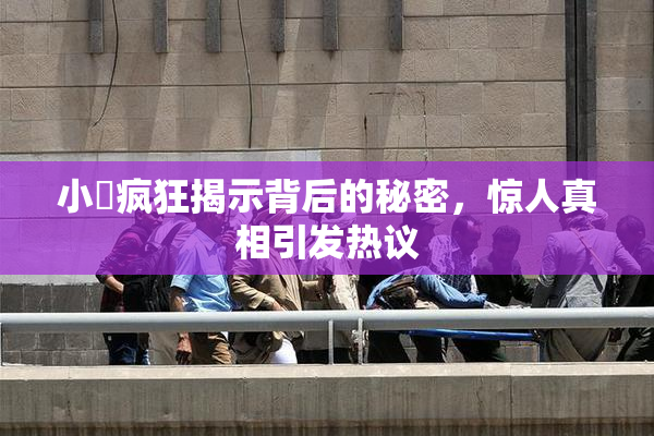 小泬疯狂揭示背后的秘密，惊人真相引发热议