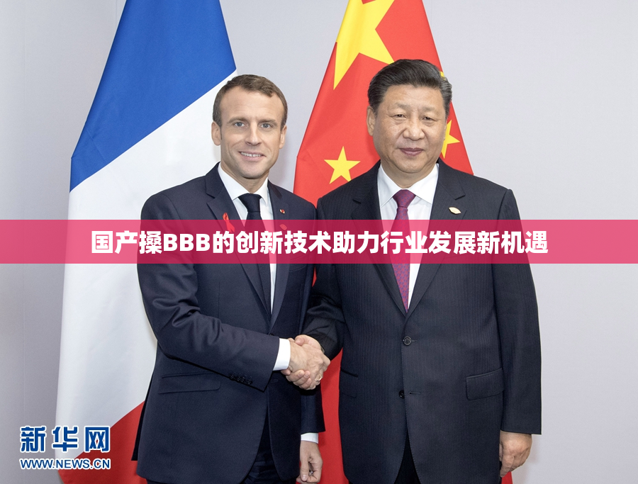 国产搡BBB的创新技术助力行业发展新机遇
