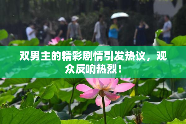 双男主的精彩剧情引发热议，观众反响热烈！