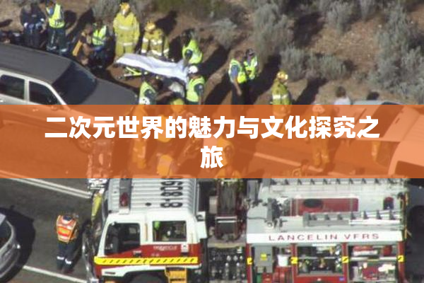 二次元世界的魅力与文化探究之旅