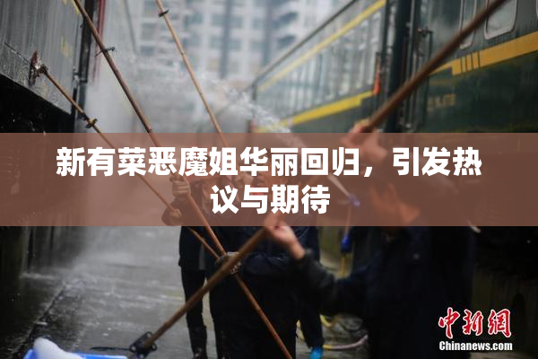 新有菜恶魔姐华丽回归，引发热议与期待