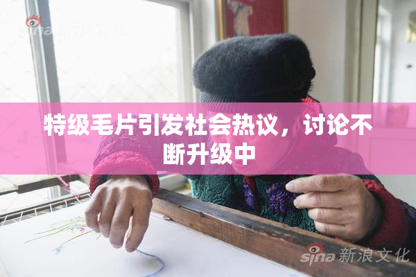 特级毛片引发社会热议，讨论不断升级中