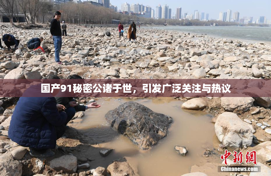国产91秘密公诸于世，引发广泛关注与热议
