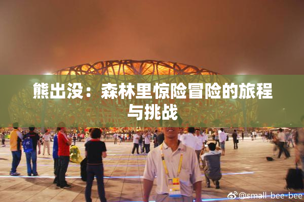 熊出没：森林里惊险冒险的旅程与挑战