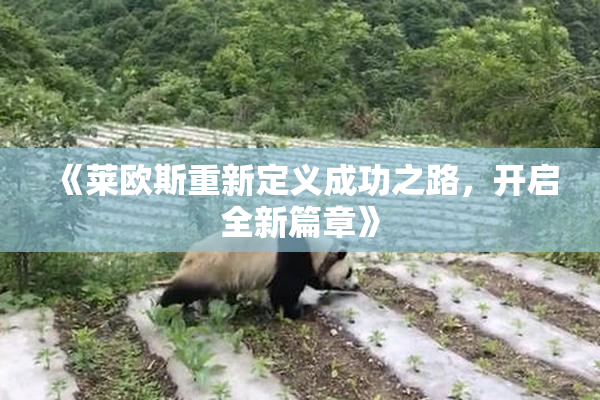 《莱欧斯重新定义成功之路，开启全新篇章》