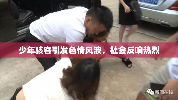 少年骇客引发色情风波，社会反响热烈