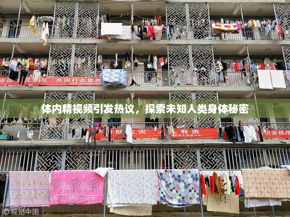体内精视频引发热议，探索未知人类身体秘密