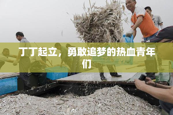 丁丁起立，勇敢追梦的热血青年们