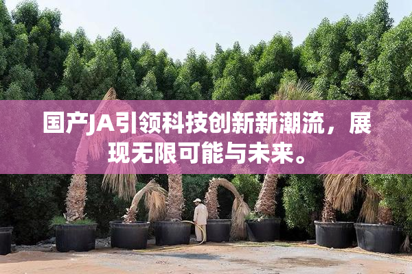 国产JA引领科技创新新潮流，展现无限可能与未来。