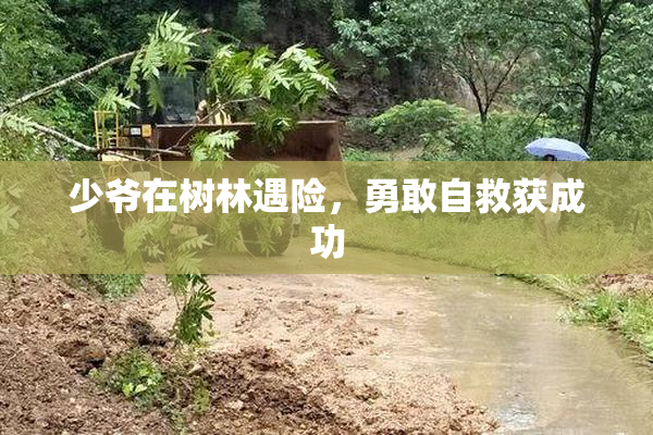 少爷在树林遇险，勇敢自救获成功