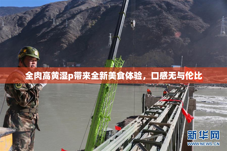 全肉高黄湿p带来全新美食体验，口感无与伦比