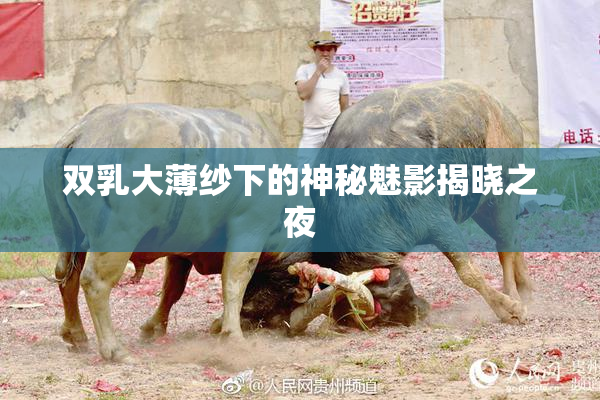 双乳大薄纱下的神秘魅影揭晓之夜