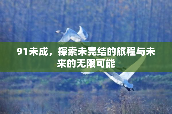 91未成，探索未完结的旅程与未来的无限可能