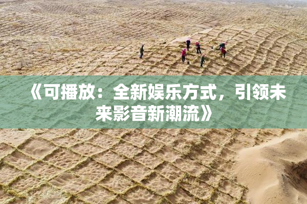 《可播放：全新娱乐方式，引领未来影音新潮流》