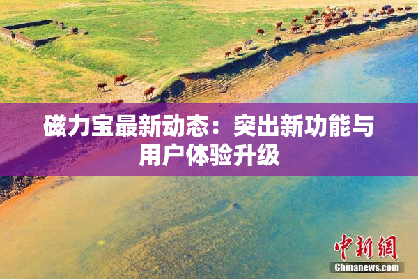 磁力宝最新动态：突出新功能与用户体验升级