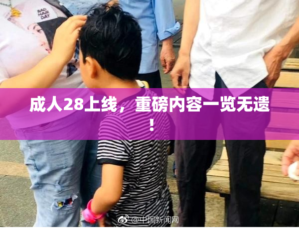 成人28上线，重磅内容一览无遗！