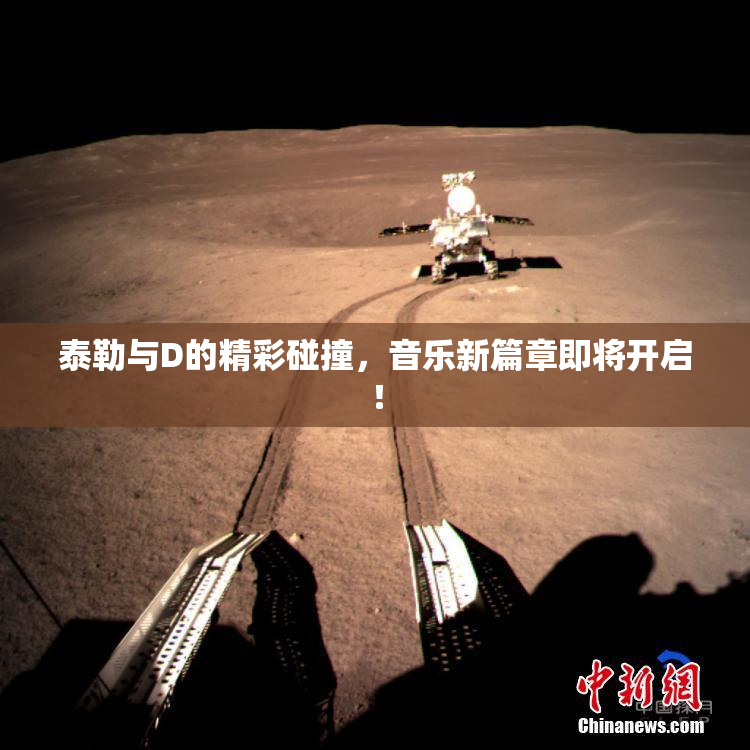 泰勒与D的精彩碰撞，音乐新篇章即将开启！