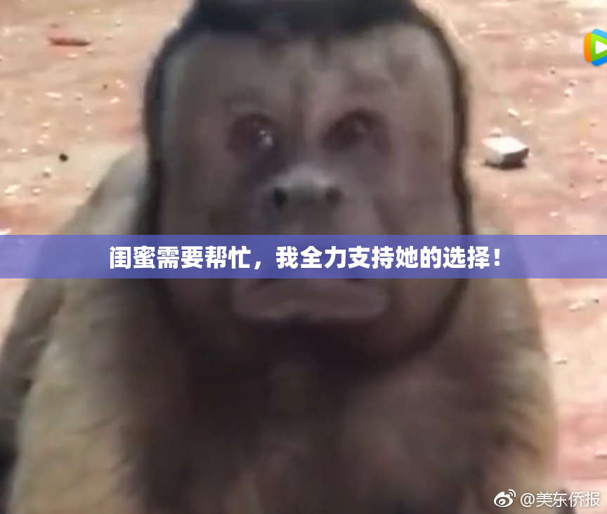 闺蜜需要帮忙，我全力支持她的选择！