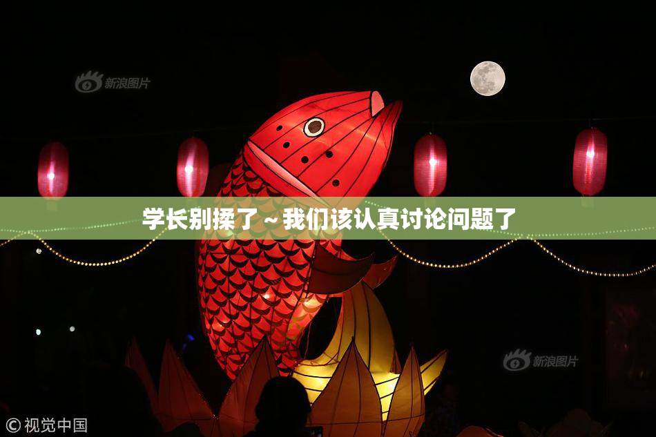 学长别揉了～我们该认真讨论问题了