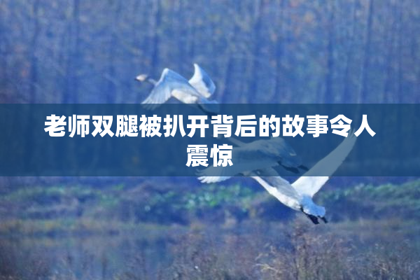 老师双腿被扒开背后的故事令人震惊