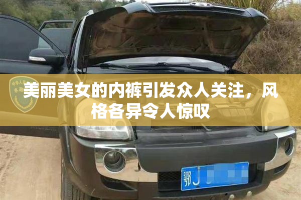 美丽美女的内裤引发众人关注，风格各异令人惊叹