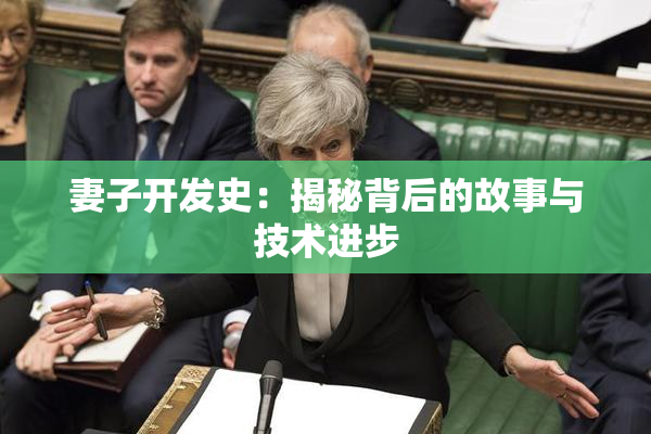 妻子开发史：揭秘背后的故事与技术进步
