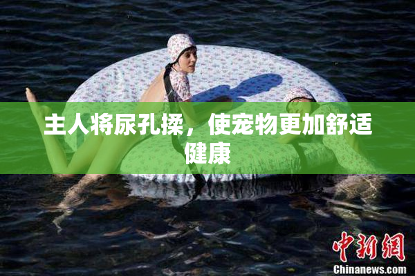 主人将尿孔揉，使宠物更加舒适健康
