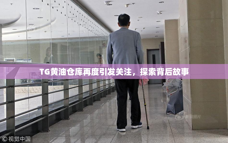 TG黄油仓库再度引发关注，探索背后故事