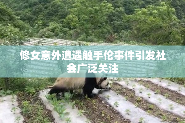 修女意外遭遇触手伦事件引发社会广泛关注