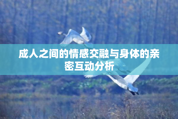 成人之间的情感交融与身体的亲密互动分析