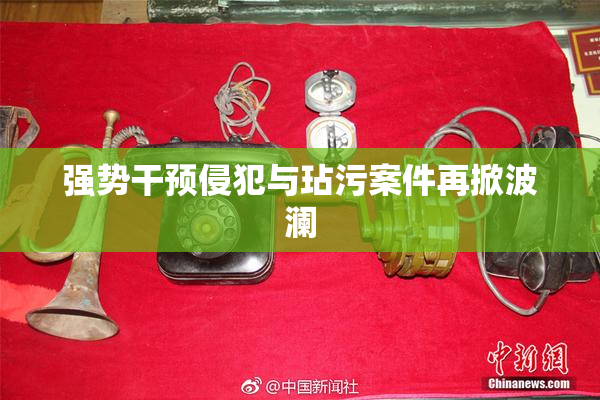 强势干预侵犯与玷污案件再掀波澜