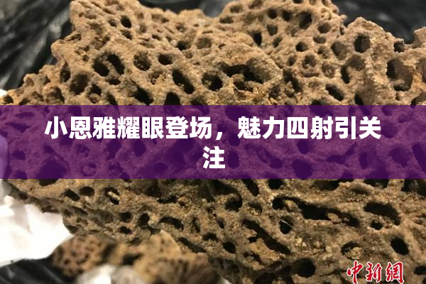 小恩雅耀眼登场，魅力四射引关注