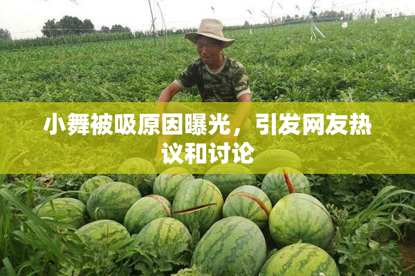 小舞被吸原因曝光，引发网友热议和讨论