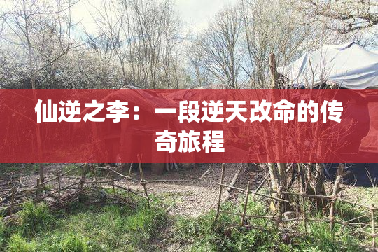 仙逆之李：一段逆天改命的传奇旅程