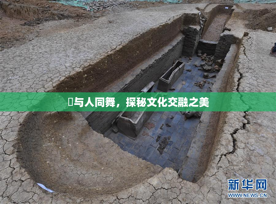 嘼与人同舞，探秘文化交融之美