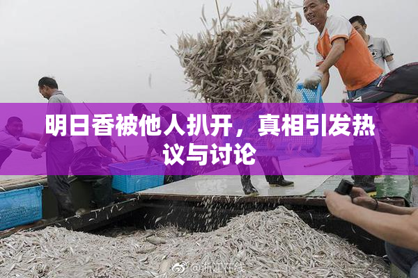 明日香被他人扒开，真相引发热议与讨论