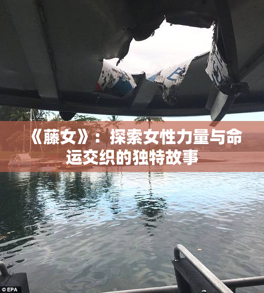 《藤女》：探索女性力量与命运交织的独特故事