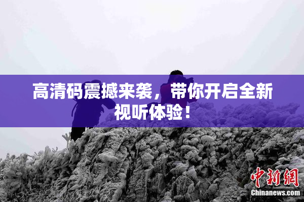 高清码震撼来袭，带你开启全新视听体验！