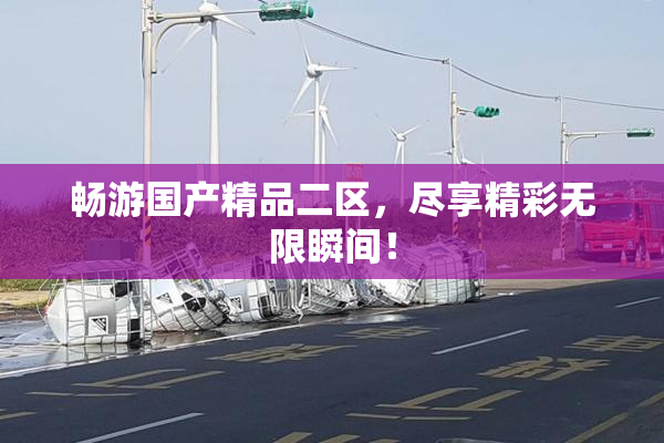 畅游国产精品二区，尽享精彩无限瞬间！