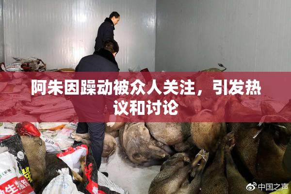 阿朱因躁动被众人关注，引发热议和讨论
