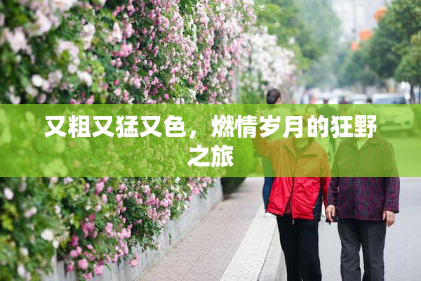 又粗又猛又色，燃情岁月的狂野之旅